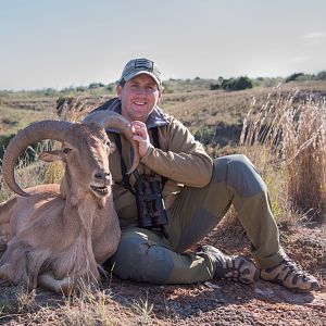 Aoudad Hunt Texas