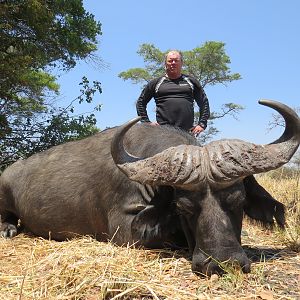 Cape Buffalo Hunt in Zambia