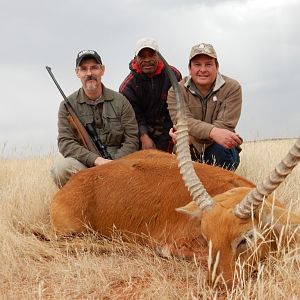 Red Lechwe Hunting in South Africa