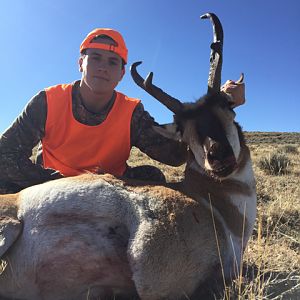 Pronghorn NW Colorado Hunt