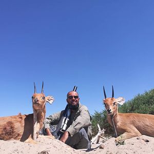 Steenbok Hunting in Botswana