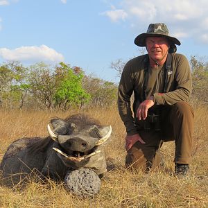 Warthog Hunt in Mozambique