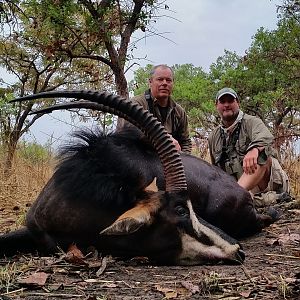 Hunt Sable Antelope in Mozambique