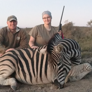 Burchell's Plain Zebra Hunt South Africa