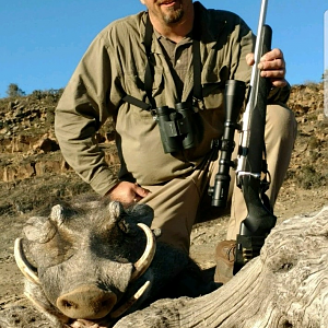 South Africa Hunting Warthog