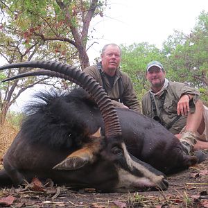 Hunt Sable Antelope in Mozambique