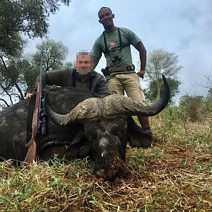 Hunting Buffalo in Zimbabwe