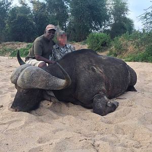 Hunting Buffalo in Zimbabwe