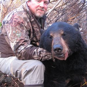 Black Bear Hunt in Alaska