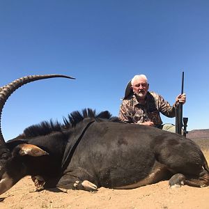 Hunt Sable Antelope in South Africa