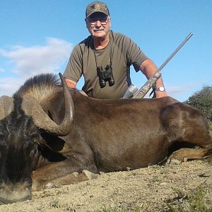 Hunt Black Wildebeest South Africa