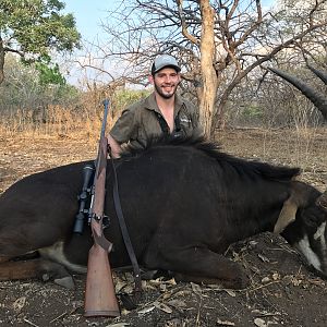 Hunting Sable Antelope in Mozambique
