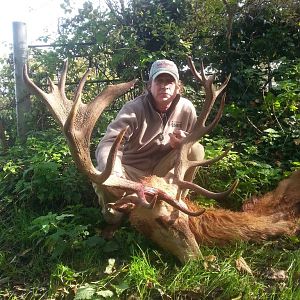 Hunting Red Stag in England