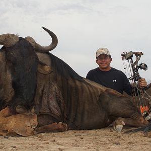 Blue Wildebeest Bow Hunting