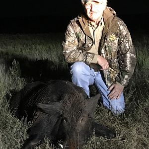 Hunting Hog in Texas