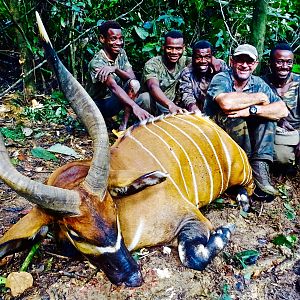Bongo Hunting in the Congo