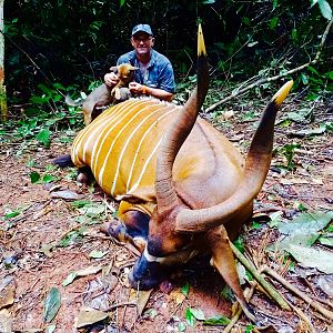 Bongo Hunting in the Congo