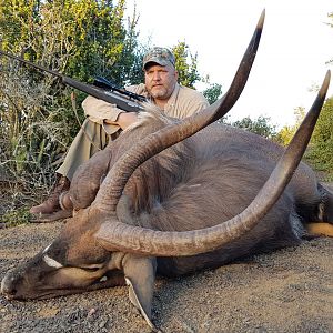 Nyala Hunt South Africa