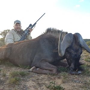 Hunt Black Wildebeest in South Africa