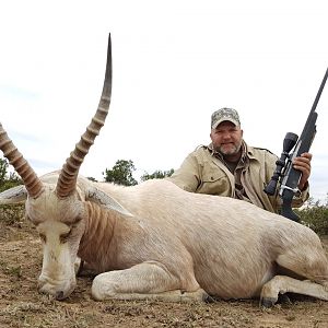 South Africa Hunt White Blesbok