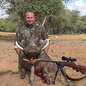 Hunting Warthog Namibia