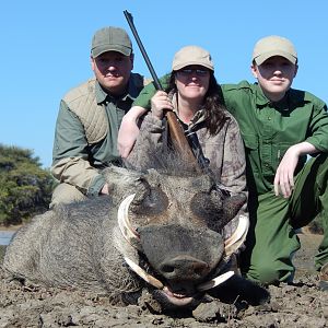 Hunt Warthog Namibia
