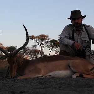 Namibia Hunt Impala