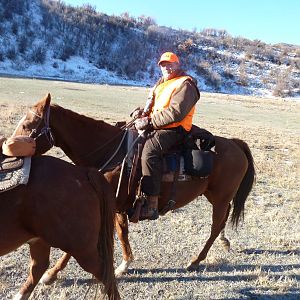 Guided Elk Hunt USA