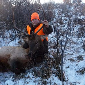 Hunting Elk USA