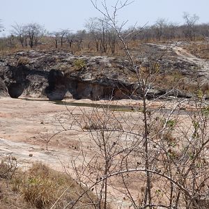 Zimbabwe Hunt Leopard