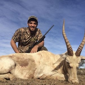 Hunt White Blesbok in South Africa