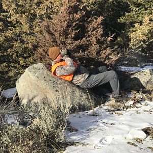 Deer Hunt in Montana