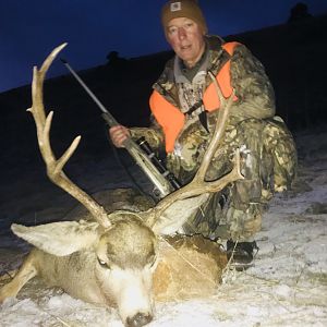 Hunt Deer Montana