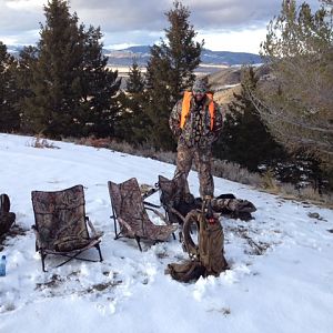Montana Hunting Deer