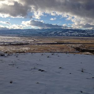 Hunt Deer Montana