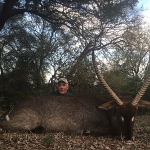 Hunting Waterbuck South Africa