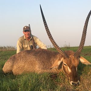 Mozambique Waterbuck