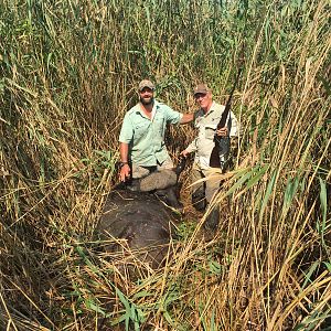 PH Aart van den Brink with me & swamp buffalo