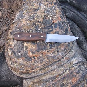 Hunting Knife