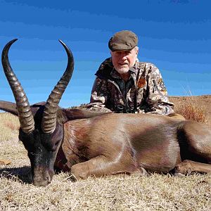 Black Springbok Hunting in South Africa