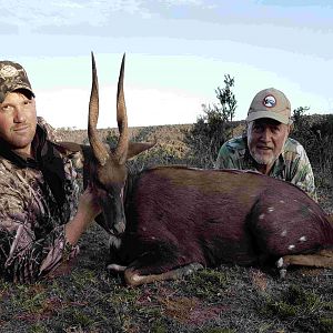 Hunting Bushbuck South Africa