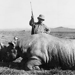 Theodore Roosevelt Hunting Rhino