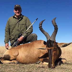 South Africa Hunting Red Hartebeest