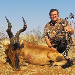 Bow Hunting Red Hartebeest in South Africa