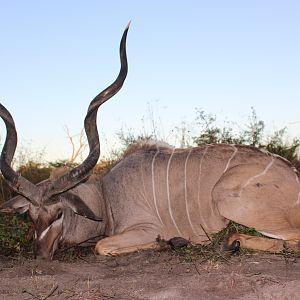 Kudu Hunt