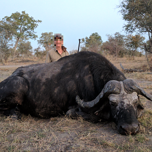 Cape Buffalo Hunt