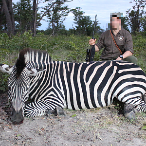 Burchell's Plain Zebra  Hunt