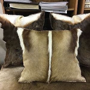 Springbok & Blesbok Pillows