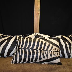 Zebra Pillows