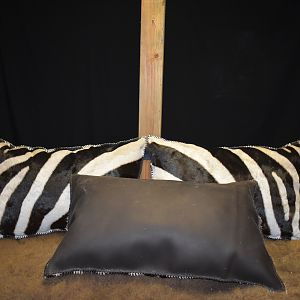 Zebra Pillows